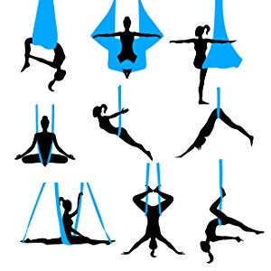 8.75 Yards Aerial Gymnastics H - Pilates Yoga Aerial avis et prix