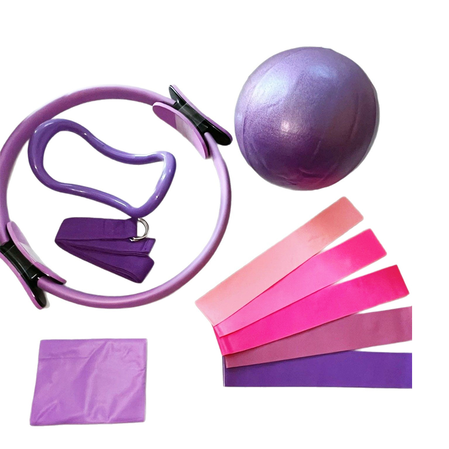 Customized LOGO 5-Piece Home G - Pilates Yoga Ball Exercises avis et prix