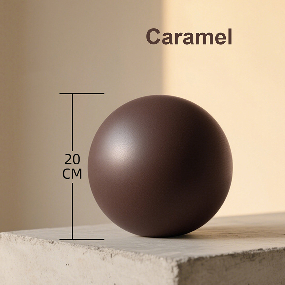 20cm Matte Exercise Ball Barre - Pilates Yoga Ball Exercises avis et prix