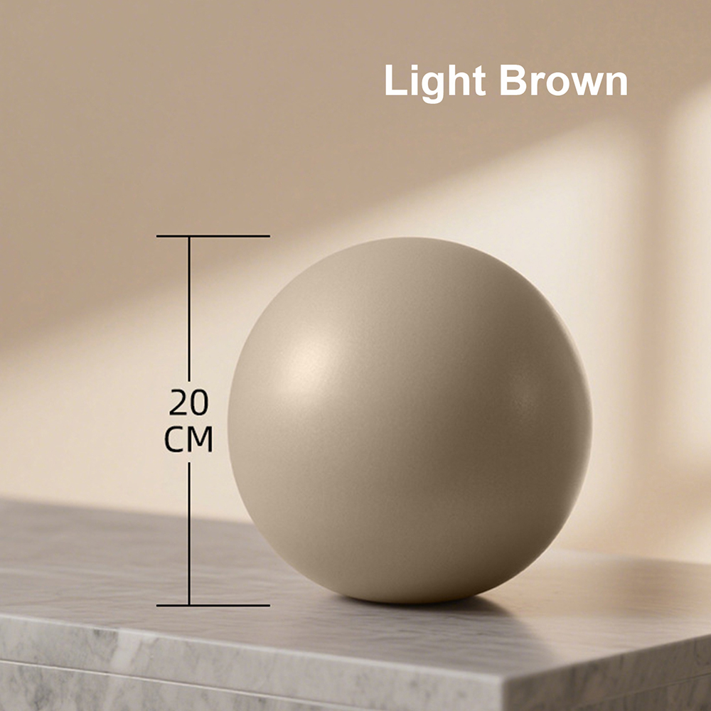 20cm Matte Exercise Ball Barre - Pilates Yoga Ball Exercises avis et prix