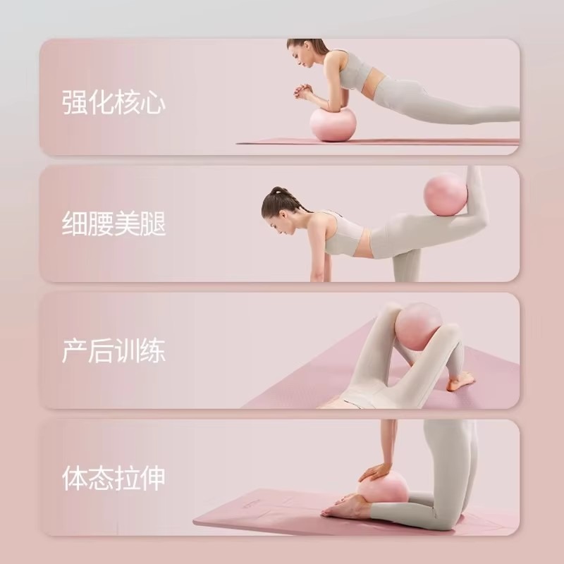 Women Gym Yoga Fitness Ball Th - Pilates Toning Ball avis et prix
